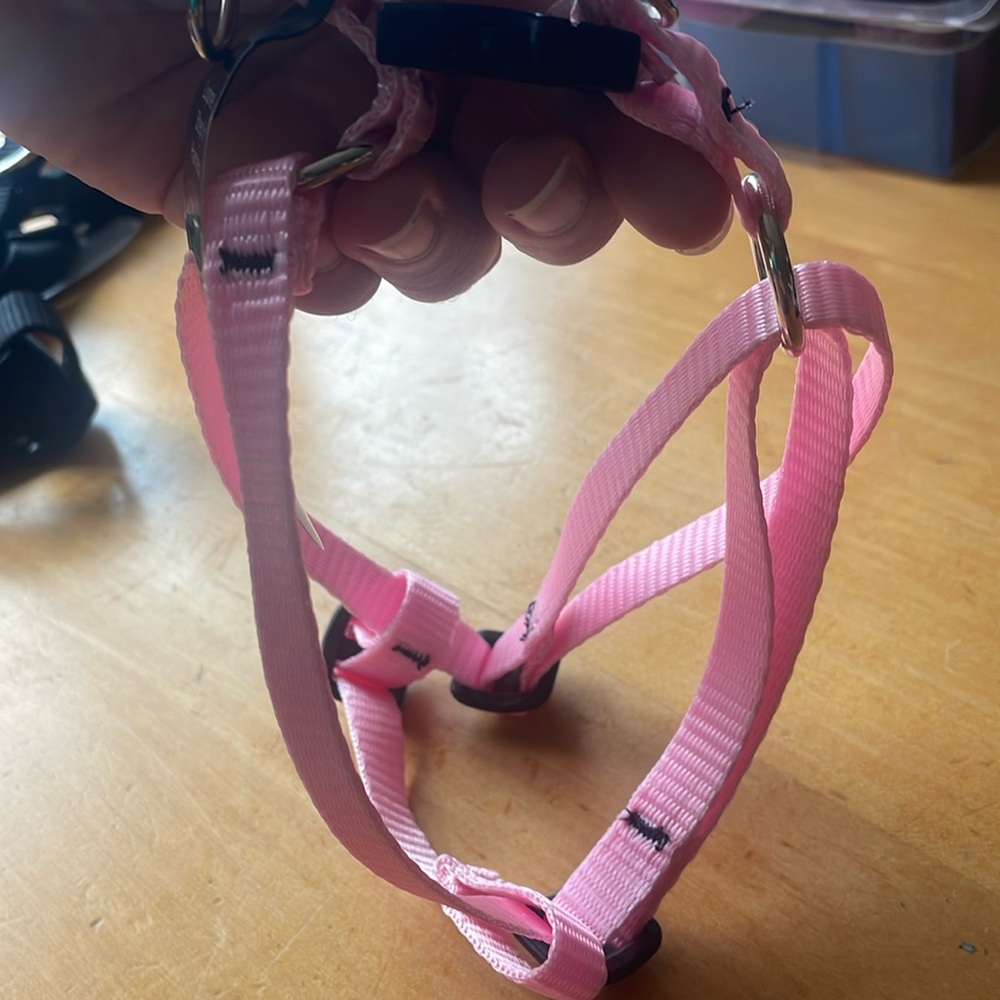 Lupine Step-In Harness 1/2in 12”-18”